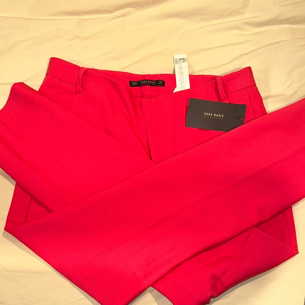 Zara women’s pink Pants